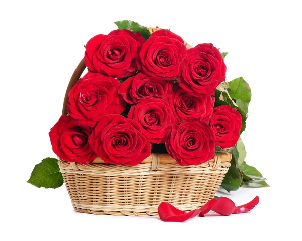 Bouquet of red roses isolated on white background — Stock Photo, Image