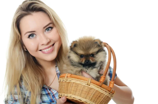 The beautiful girl with a puppy spitz — Stock Photo, Image