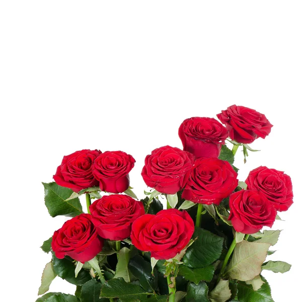 Ramo de rosas rojas aisladas sobre fondo blanco —  Fotos de Stock