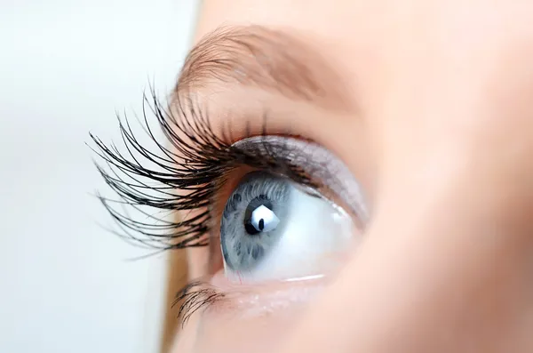 Ojo femenino con pestañas largas de cerca — Foto de Stock