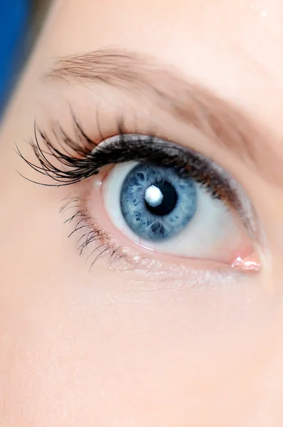 Weibliches Auge mit langen Wimpern in Nahaufnahme — Stockfoto