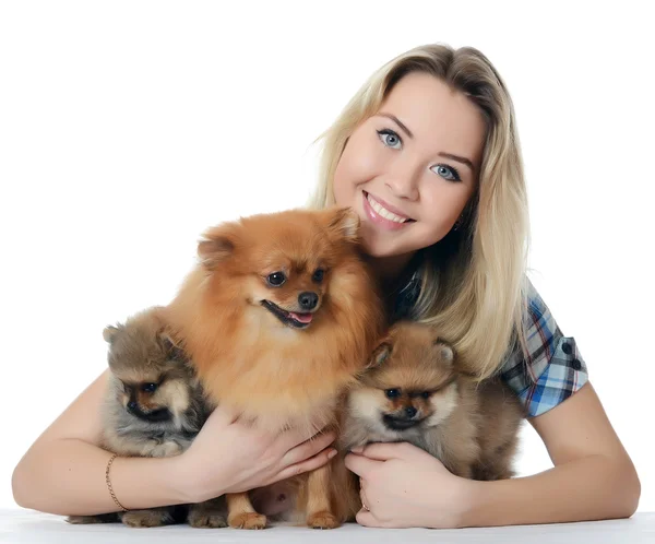 La bella ragazza con un cucciolo di spitz — Foto Stock