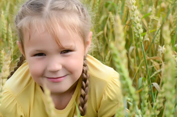 Маленькая девочка на пшеничном поле — стоковое фото