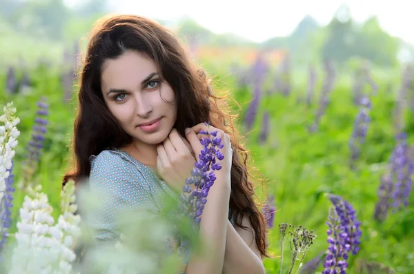 A bela mulher no campo com lupin — Fotografia de Stock