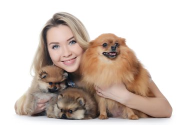 bir köpek yavrusu spitz ile güzel bir kız