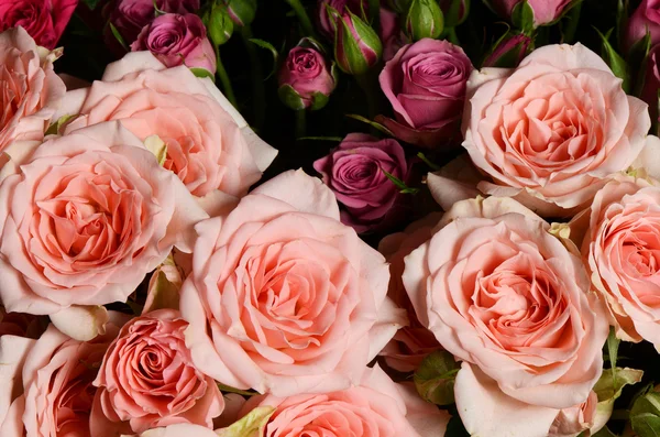 Buquê rosa flor — Fotografia de Stock