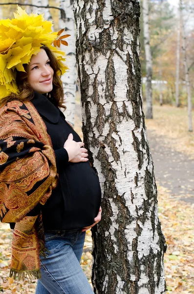 La ragazza incinta in parco di autunno — Foto Stock