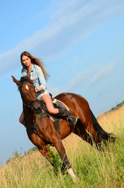 De vrouw op een paard in het veld — Stockfoto