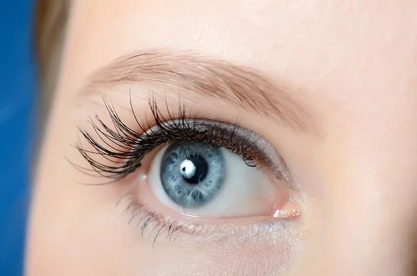 Ojo femenino con pestañas largas de cerca — Foto de Stock