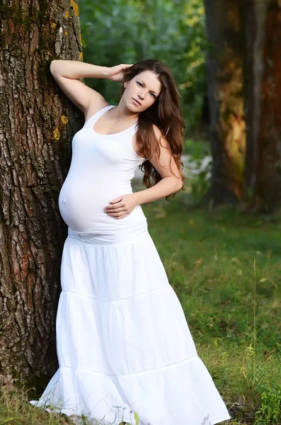 De zwangere vrouw in de zomer een boom — Stockfoto