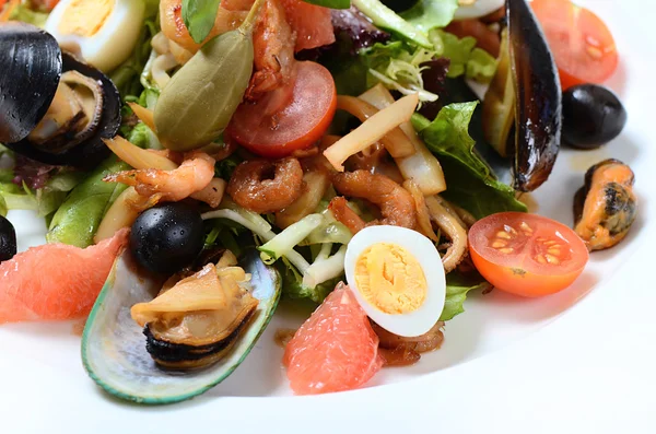 Salad with seafood with a squid, a tuna fillet, meat of mussels — Stock Photo, Image