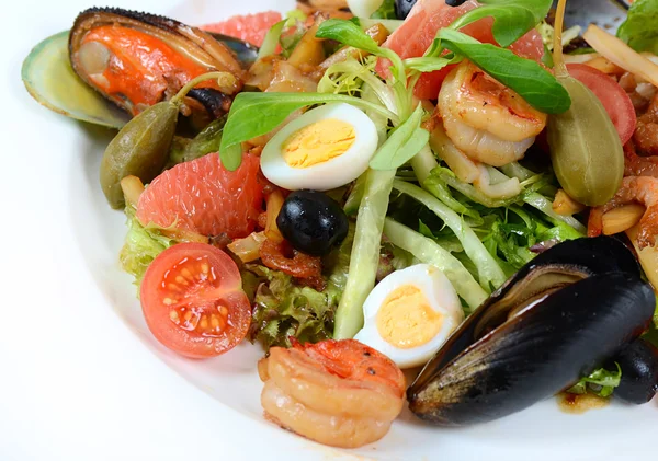 Salad with seafood with a squid, a tuna fillet, meat of mussels — Stock Photo, Image