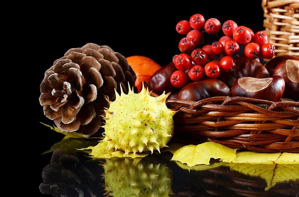 Autumn still-life - chestnuts and a mountain ash — Stock Photo, Image