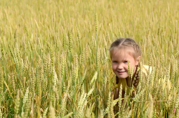 Das kleine Mädchen im Weizenfeld — Stockfoto