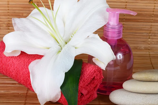 Set for spa-procedures on bamboo rug — Stock Photo, Image