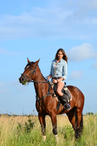 A mulher em um cavalo no campo — Fotografia de Stock