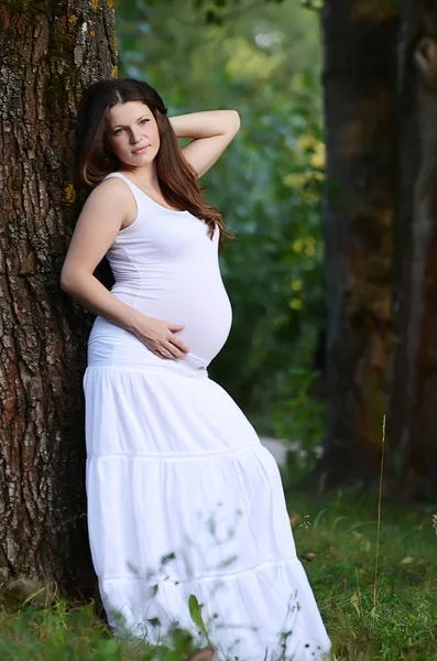 A mulher grávida no verão uma árvore — Fotografia de Stock