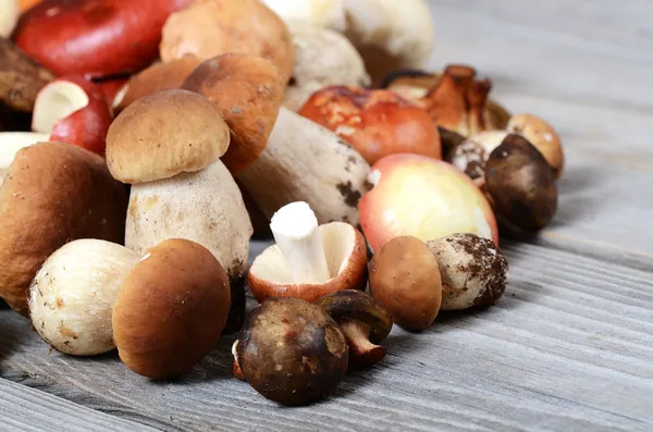 Il boletus edulis grezzo uno sfondo — Foto Stock