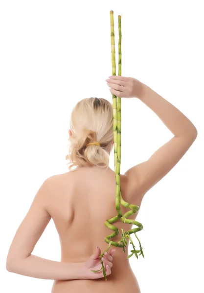 The beautiful young woman with a green bamboo — Stock Photo, Image