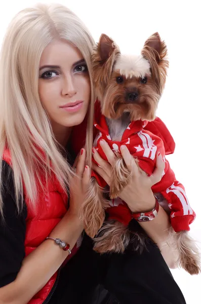 Blond meisje met een schattige kleine hond Yorkshire terrier — Stockfoto