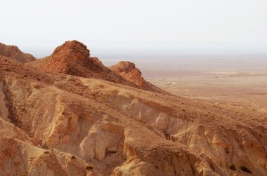 mountain oasis Chebika