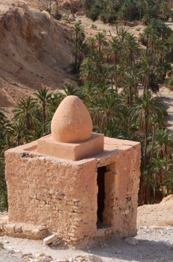 Chebica, oasis