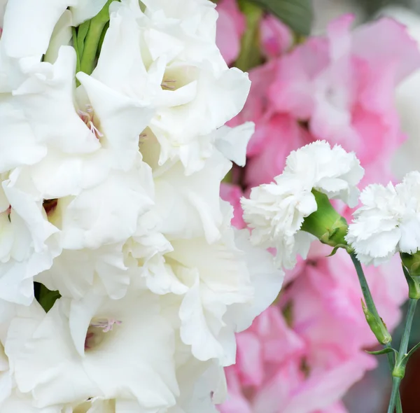 Ramo de gladiolos blancos — Foto de Stock