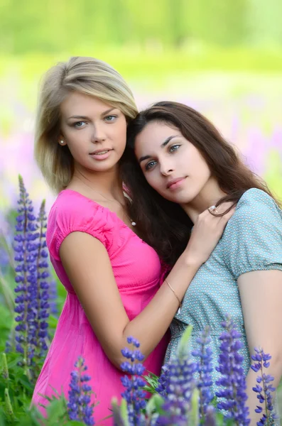 Two beautiful girls in   field — Stock Photo, Image