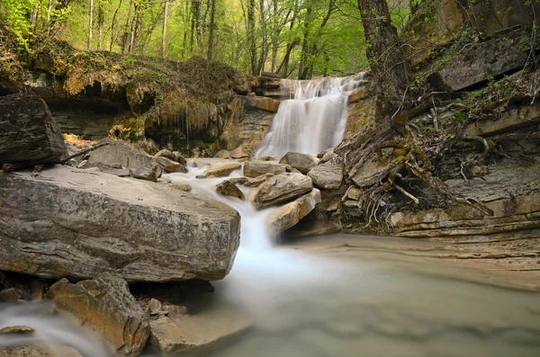 Waterfall and a calm stream gently flowing through a forest — Stock Photo, Image