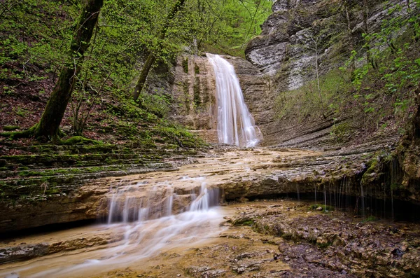 Waterfall and a calm stream gently flowing through a forest — Stock Photo, Image