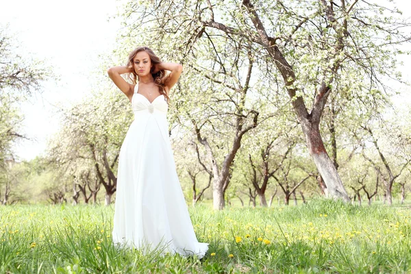 Beautiful bride — Stock Photo, Image