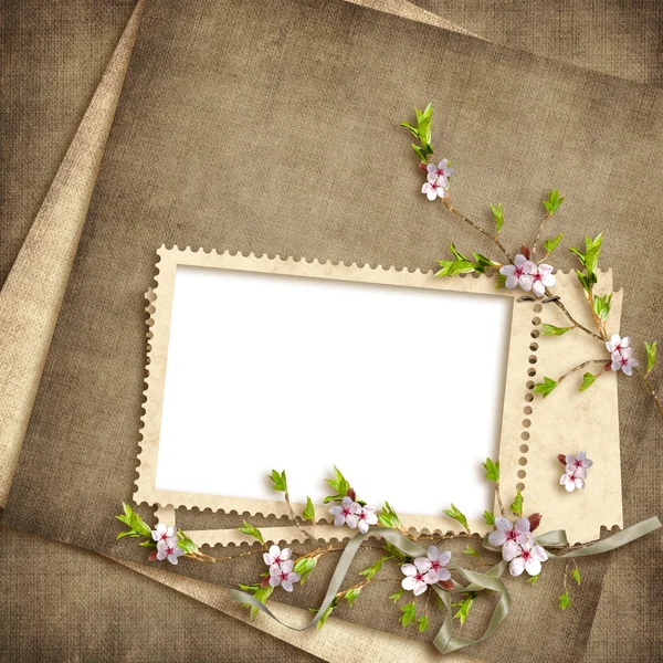 Card for the holiday with flowers on the abstract background — Stock Photo, Image