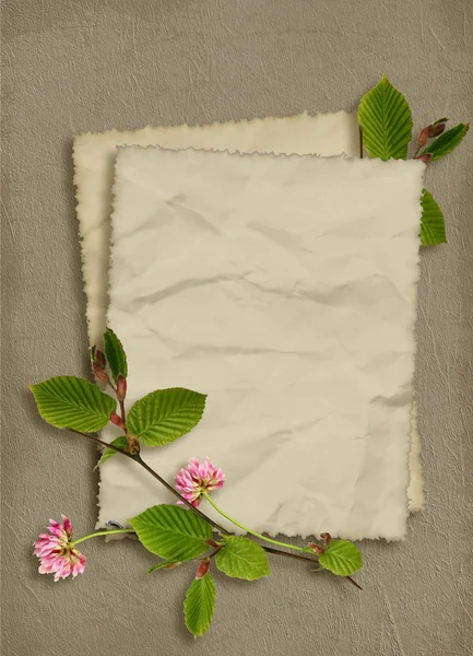 Карточка праздника с цветами на абстрактном фоне — стоковое фото