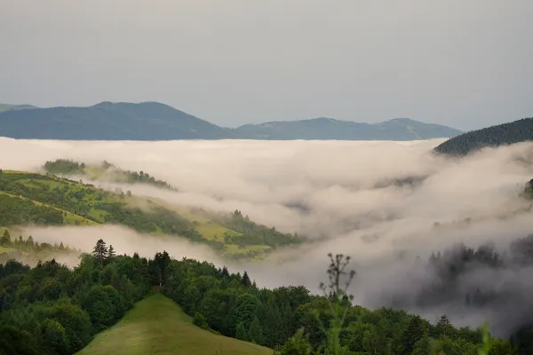 Bergnebel in den Bergen — Stockfoto