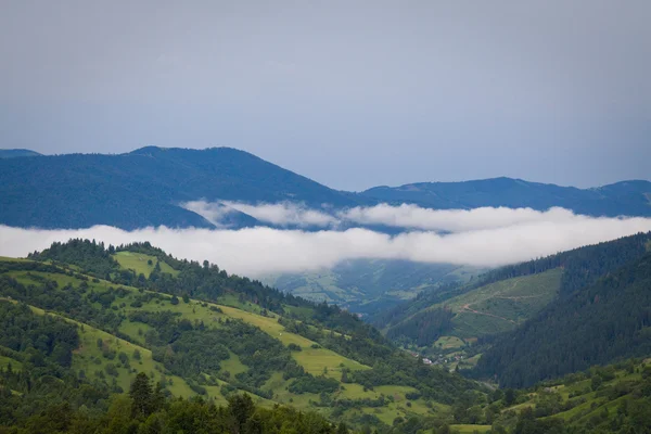 Горный туман в горах — стоковое фото