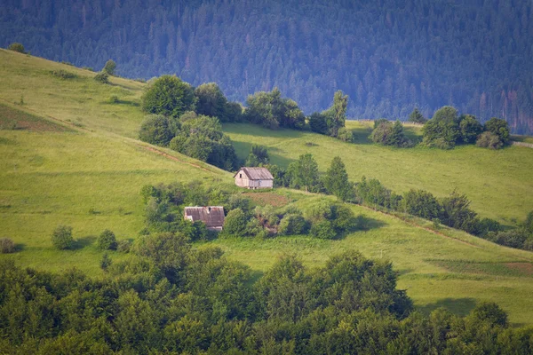 A hegyekben hegyi köd — Stock Fotó