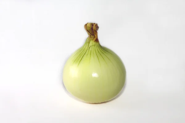 Onion on white background Stock Photo
