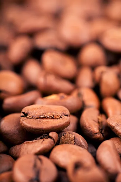 Coffee beans — Stock Photo, Image