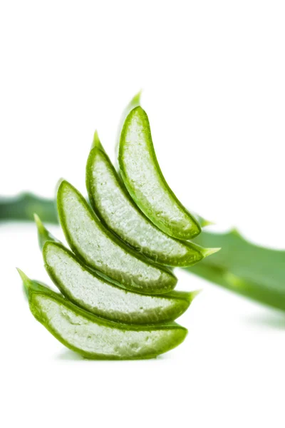 Aloë stukkenpiezas de Aloe — Stockfoto