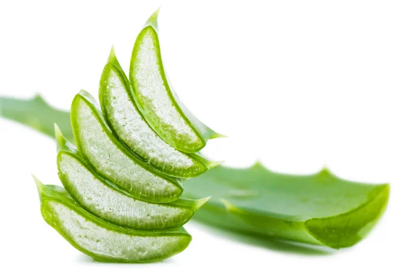 Hoja de aloe — Foto de Stock