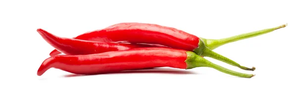 Červené chilli papričky — Stock fotografie