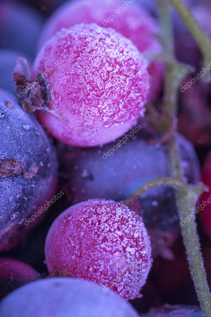 Frozen berries — Stock Photo © AGorohov 21285845