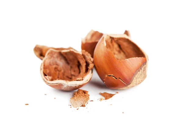 Hazelnuts — Stock Photo, Image