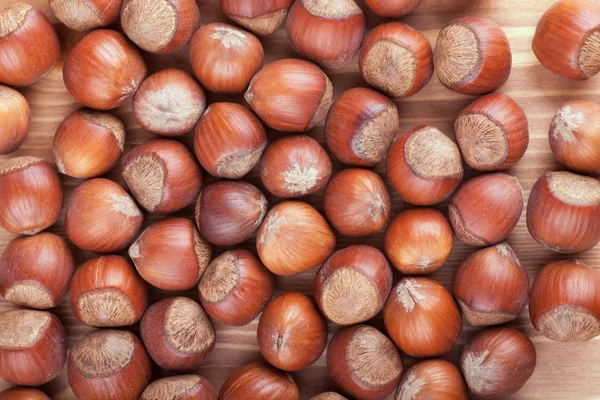 Hazelnuts — Stock Photo, Image