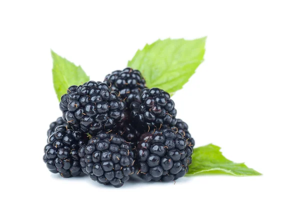 Moras — Foto de Stock