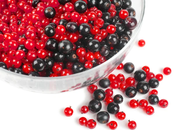 Berries — Stock Photo, Image