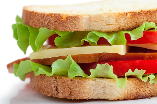 Sandwich geïsoleerd — Stockfoto