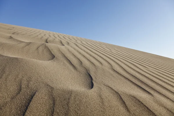 Sand Ripples — Stock Photo, Image