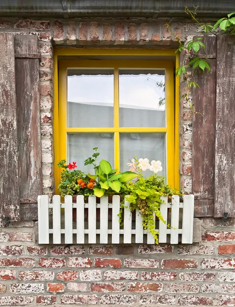 Vintage ventana con flores — Foto de Stock