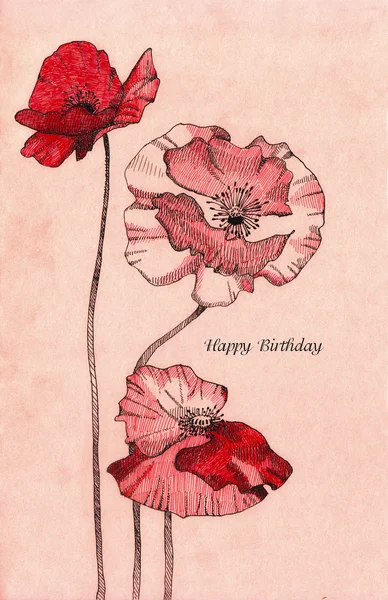 Dibujo-cumpleaños-amapola-flores _ contraste —  Fotos de Stock